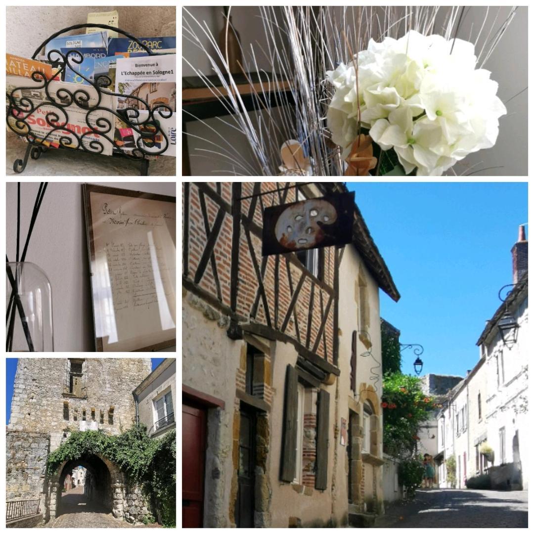Villa L’échappée Monestoise Mennetou-sur-Cher Esterno foto
